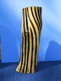 Zebra, Weißdorn, 60 cm